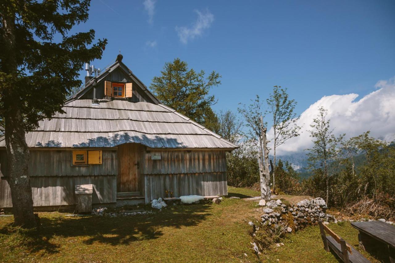 Chalet Orlica Velika Planina Stahovica Extérieur photo