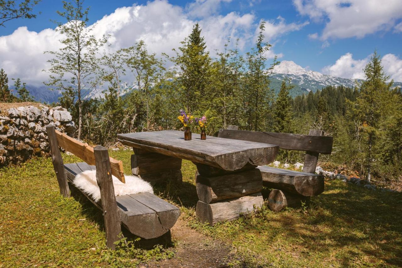 Chalet Orlica Velika Planina Stahovica Extérieur photo